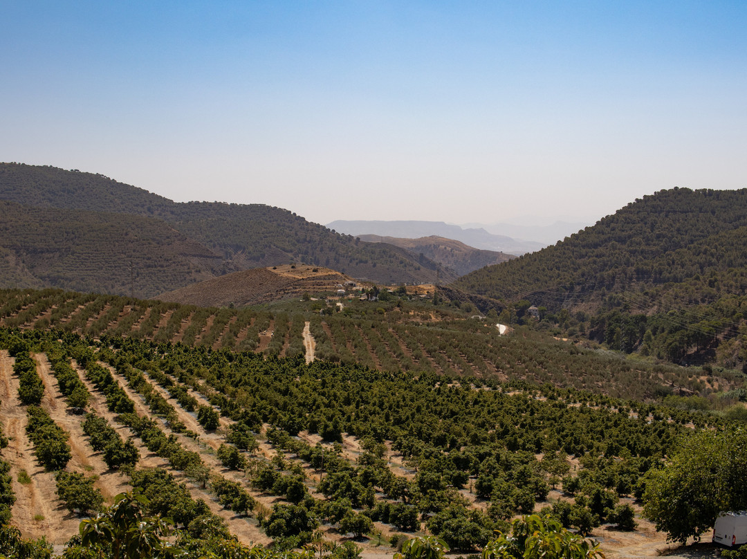 Finca Solmark景点图片