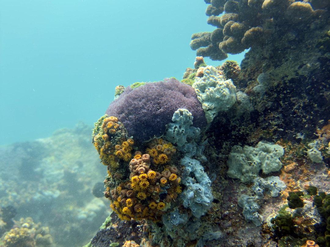 Trek Divers Seychelles景点图片