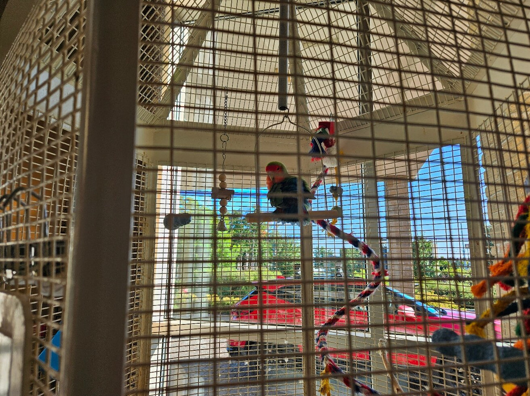 Days Inn by Wyndham Montmagny主图