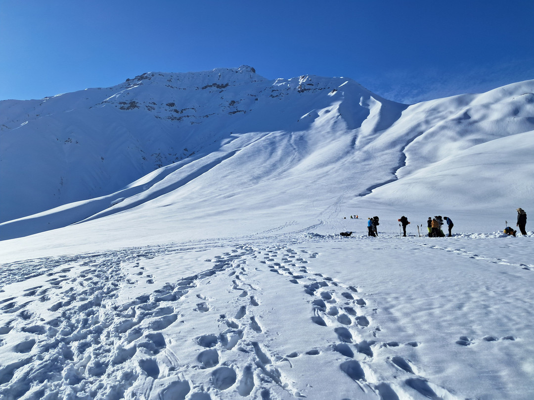 Ecocaminante-Guayacan必去景点