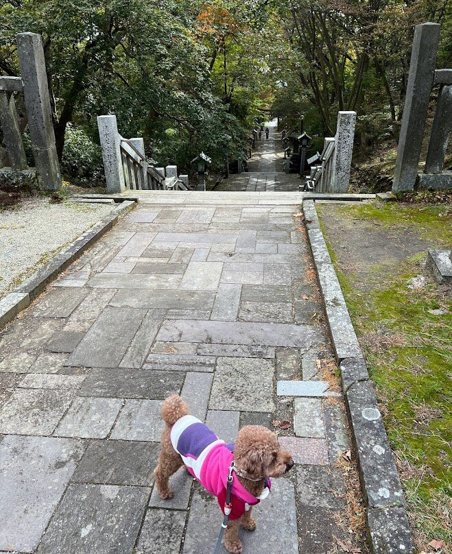 Nasu Yuzen Shrine-那须町必去景点