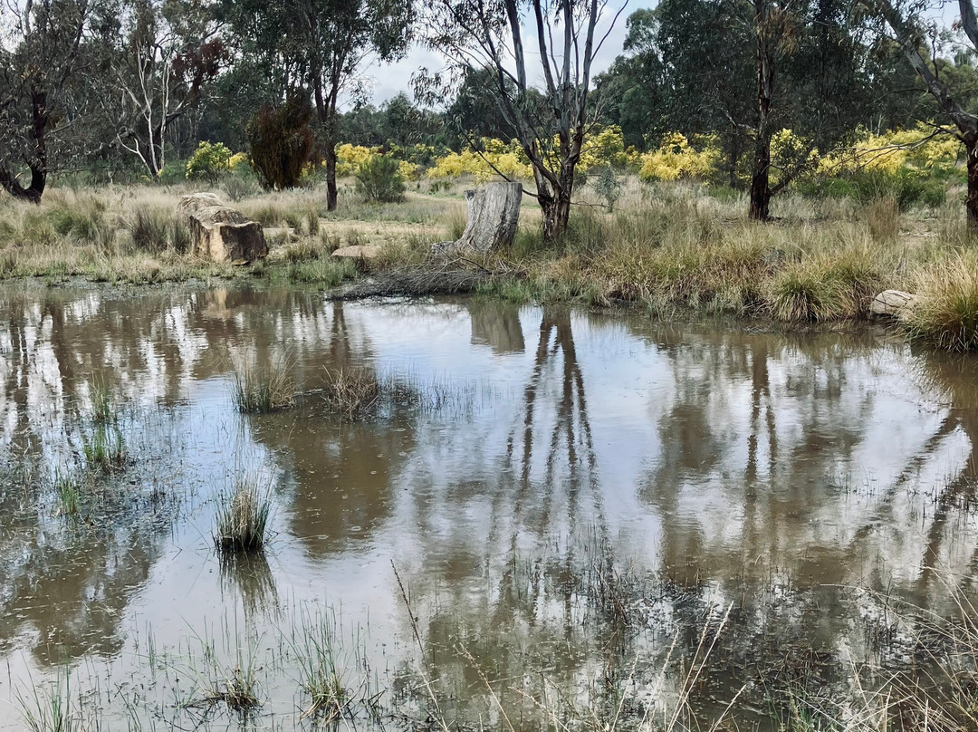 Euroa Arboretum-尤罗阿必去景点