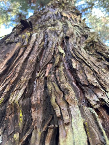 Benvie Garden-豪威克必去景点