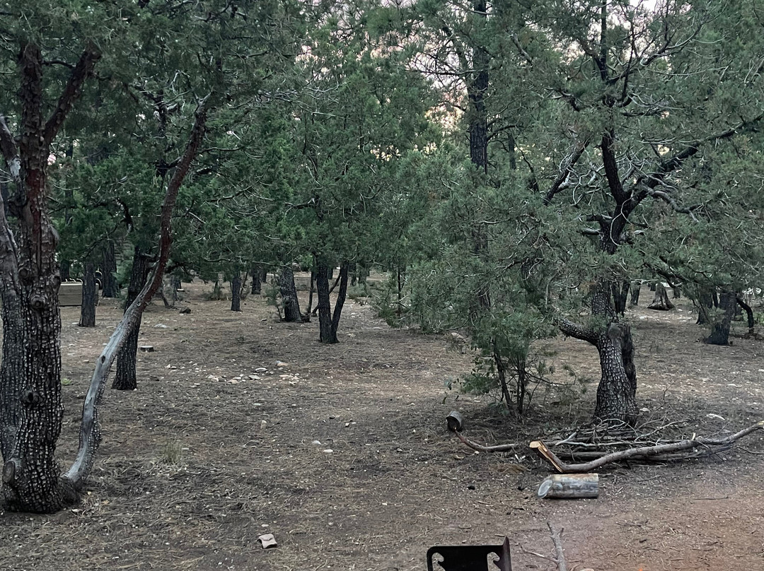 Manzano Mountains State Park-Mountainair必去景点