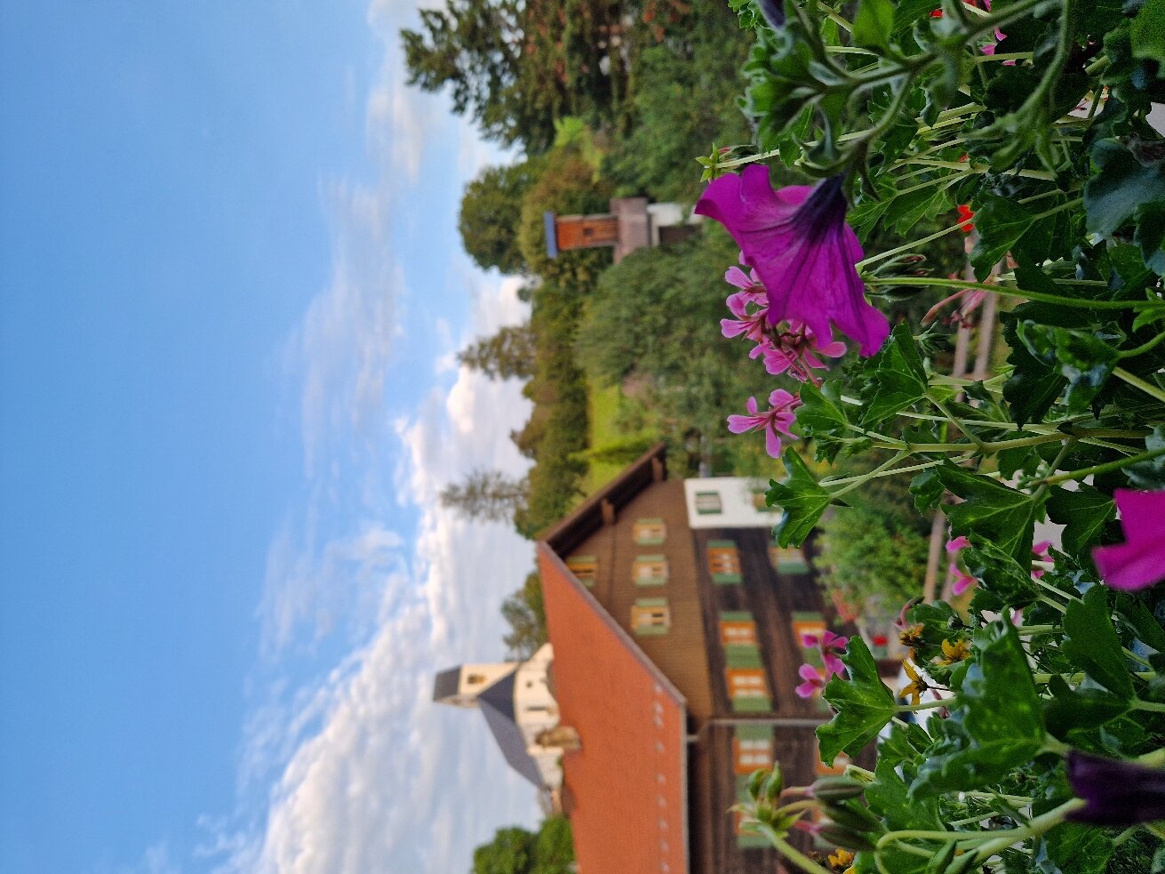 Gasthof Krone-官方