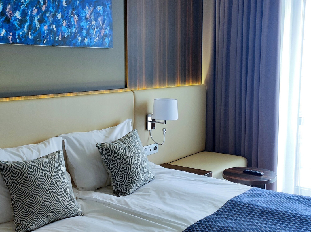 Hotel Vladimirovskiy主图