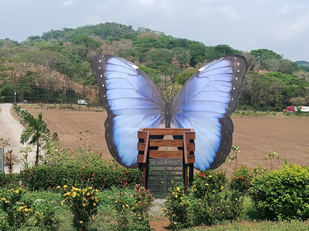 My Time Butterfly Garden-Miramar必去景点