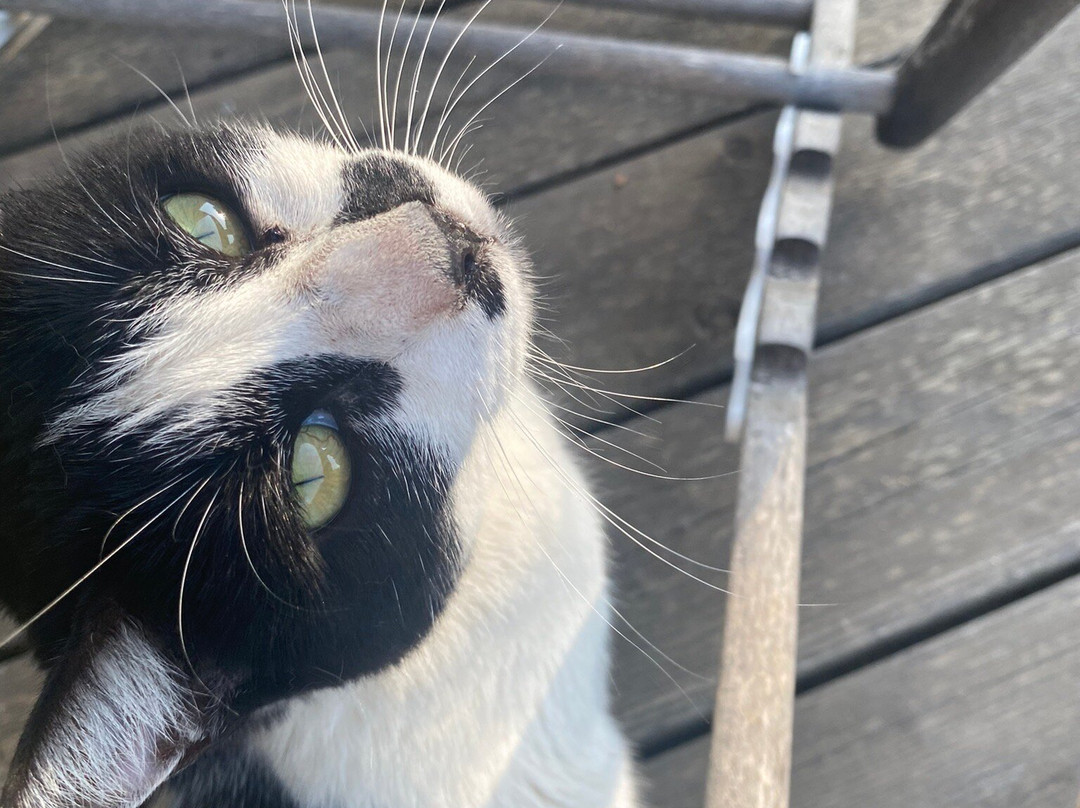 Ferme De Roccapina主图