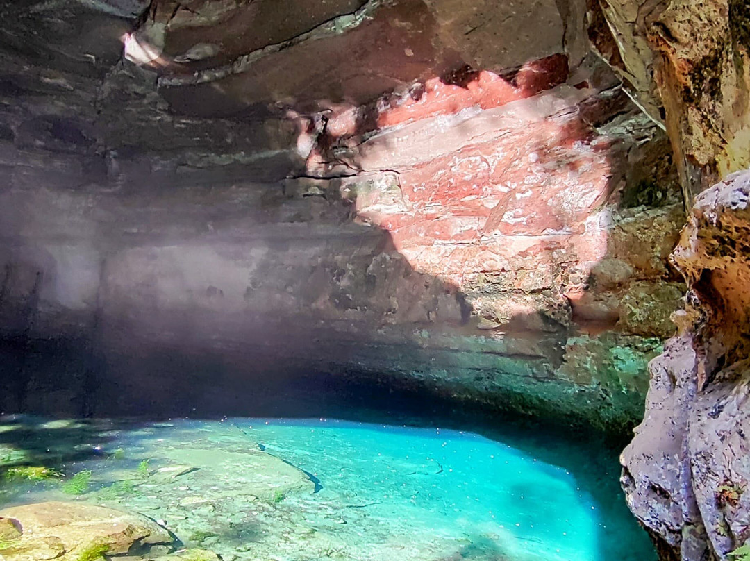Guia de Ecoturismo - Chapada dos Guimarães.景点图片