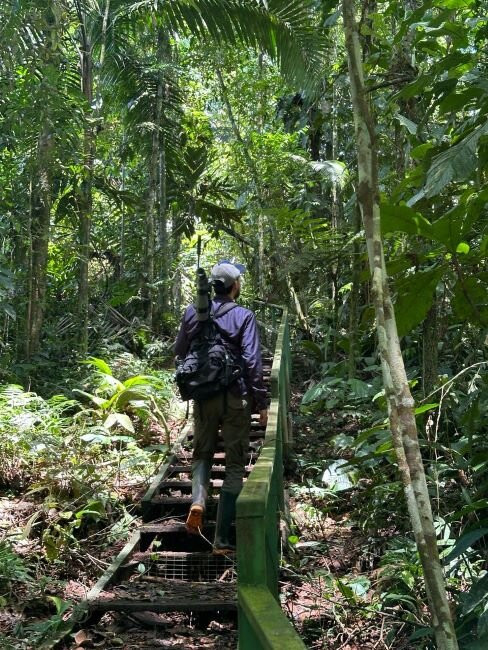 Tirimbina Rainforest Lodge主图