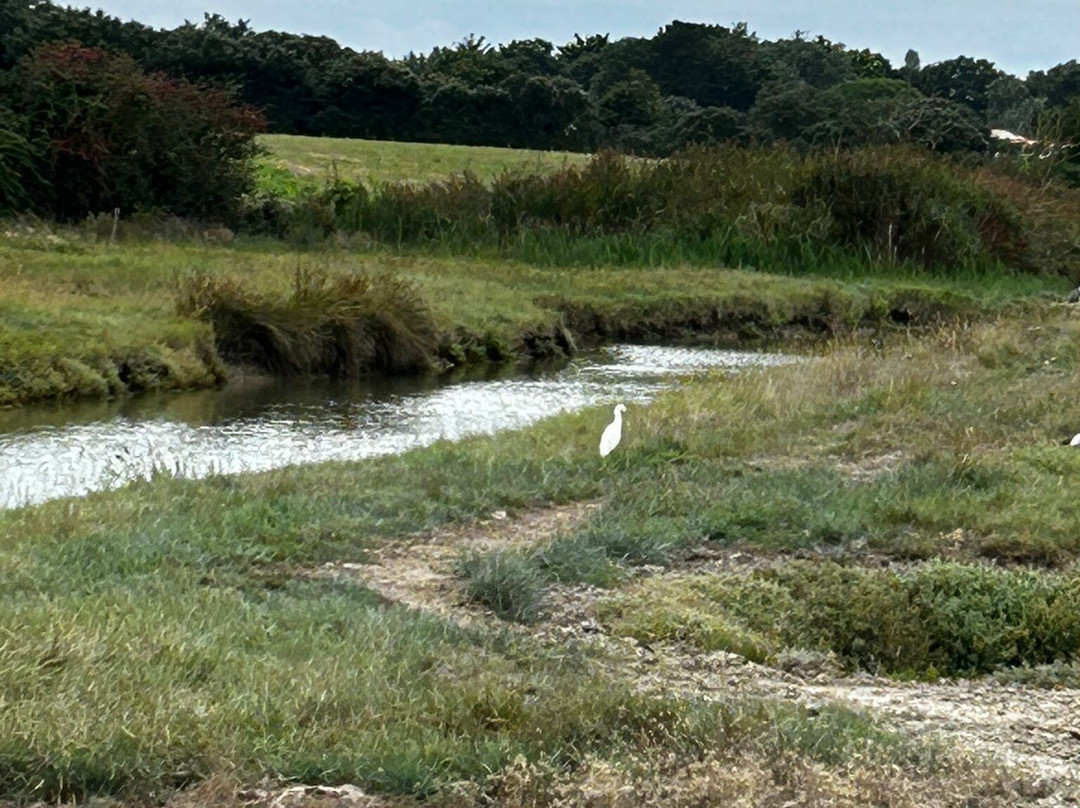 Marais Salants景点图片