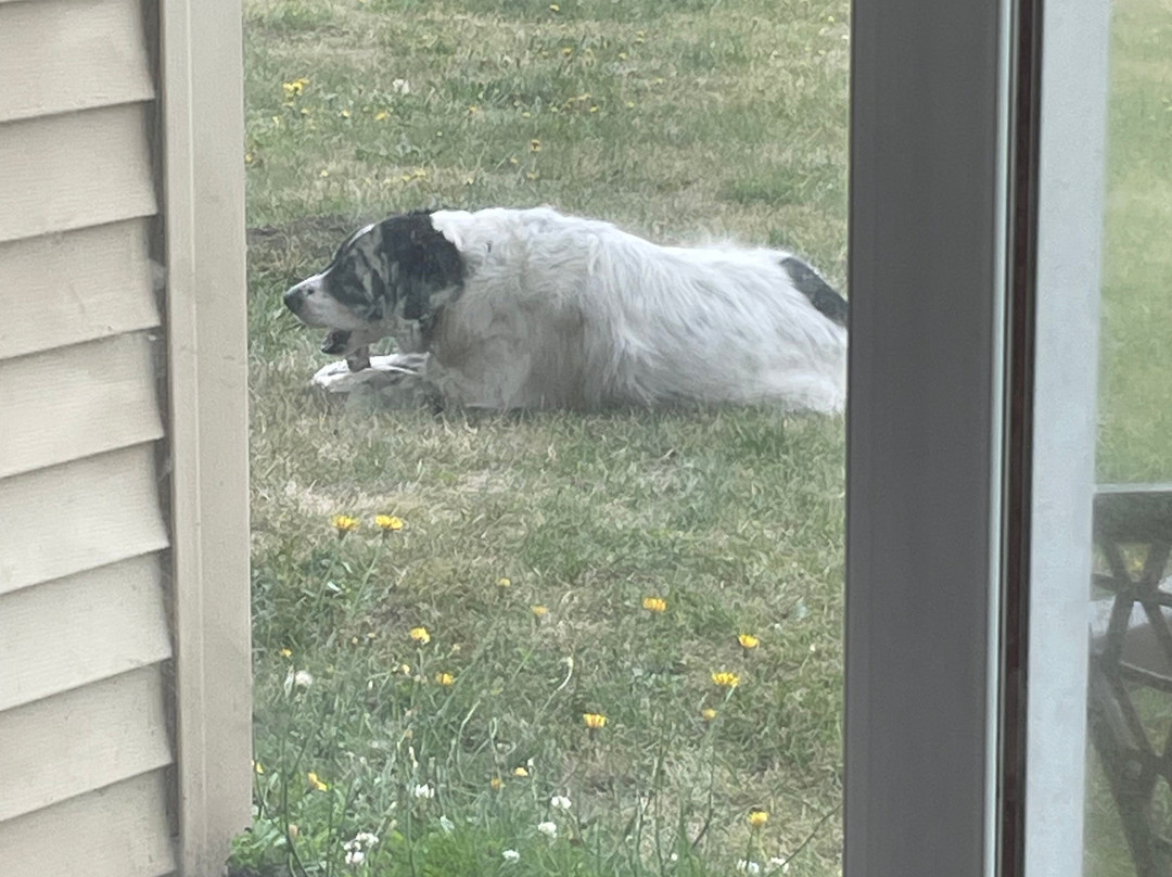 Comfort Inn and Suites主图