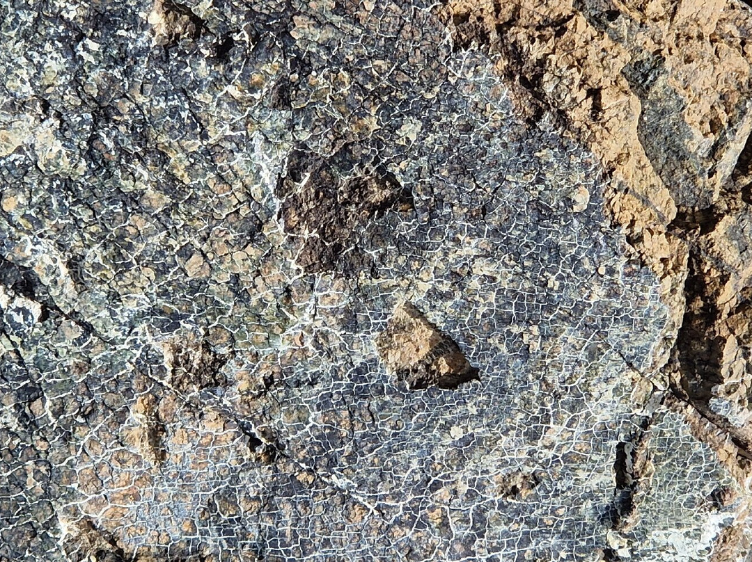 The Discovery Center景点图片
