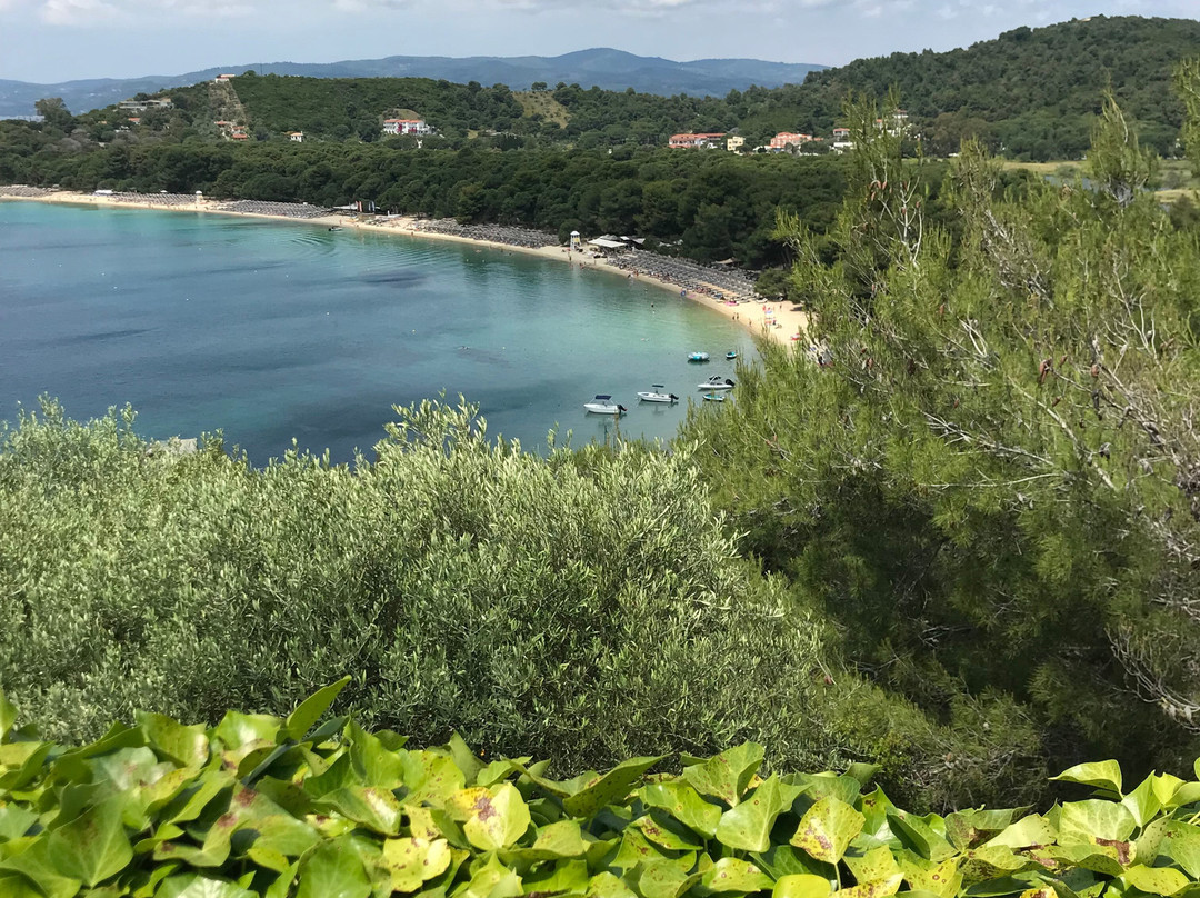 斯基亚索斯岛宫殿酒店主图