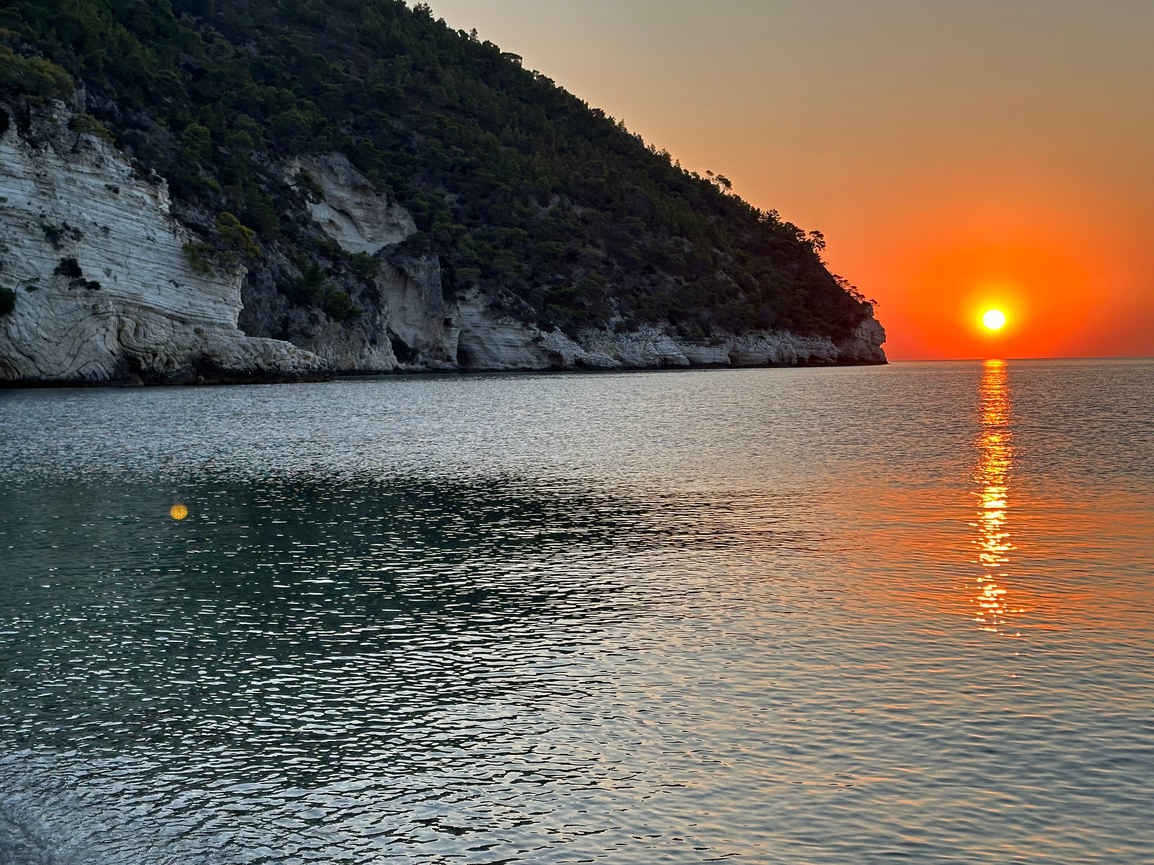 Hotel Baia Delle Zagare-泳池