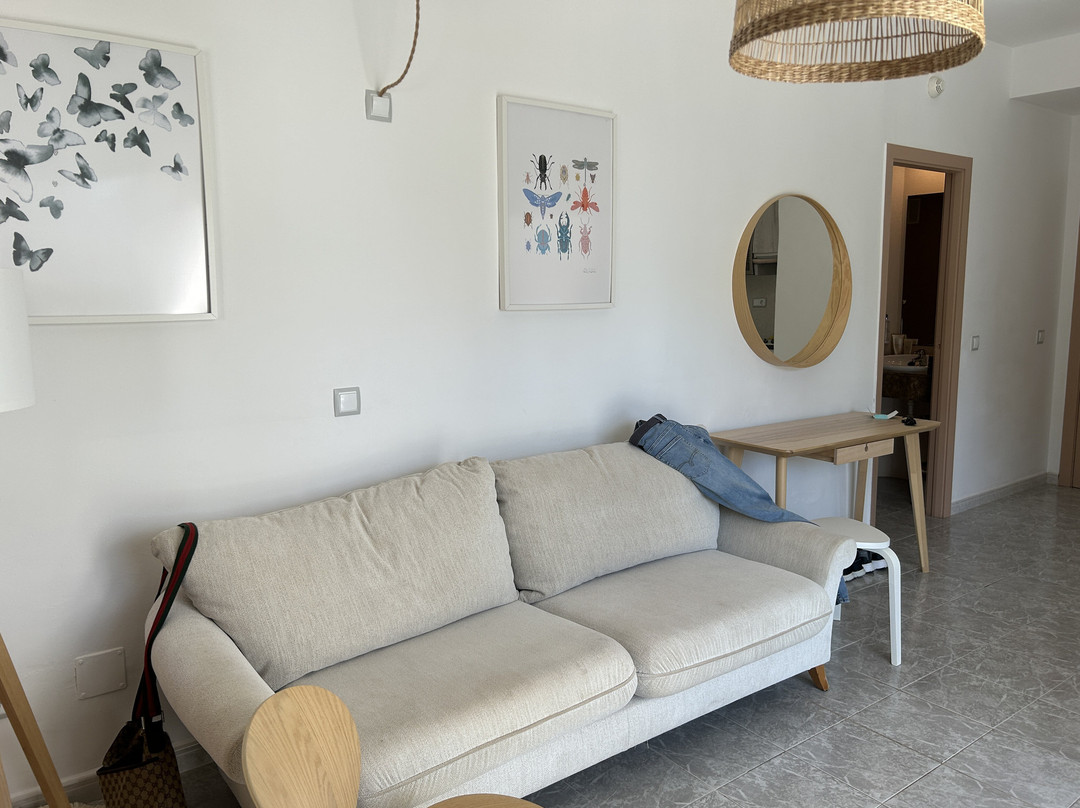 Sol Lunamar Palmanova Apartamentos - Adults only主图