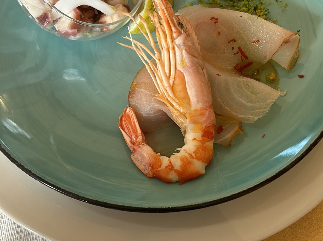 Terre d'Aione di Rubens della Porta