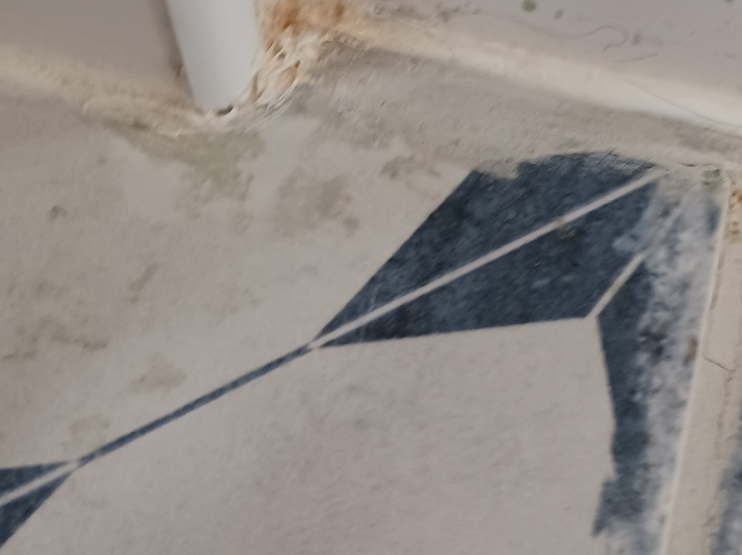 阿里赛格酒店主图