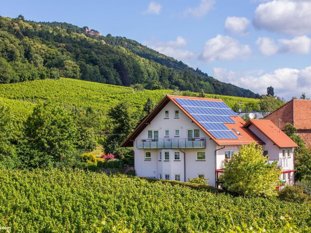 Gaestehaus Jaeger主图