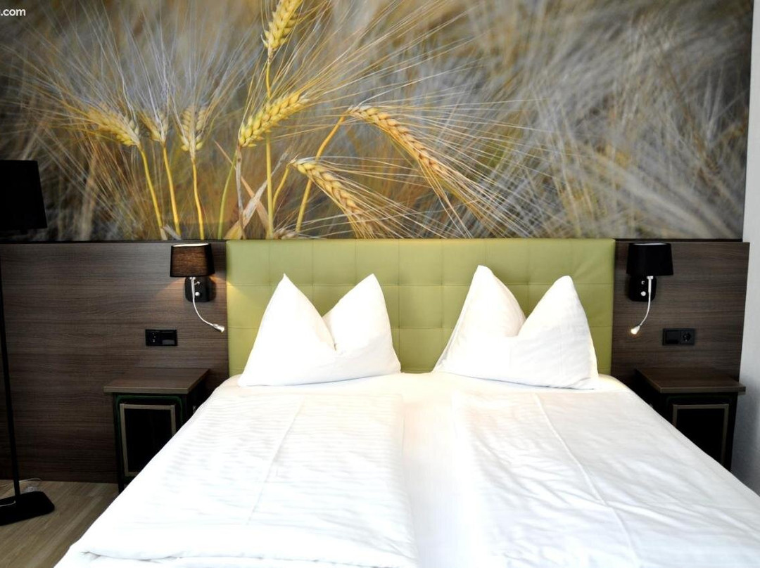 Braugasthof Falkenstein主图