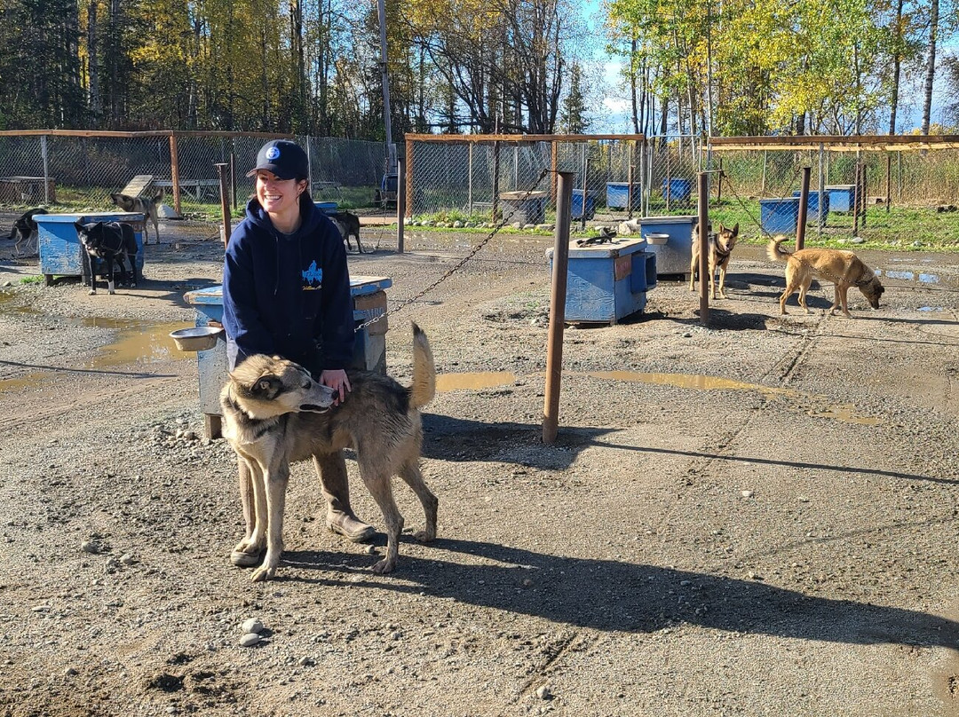 Alaskan Husky Adventures景点图片