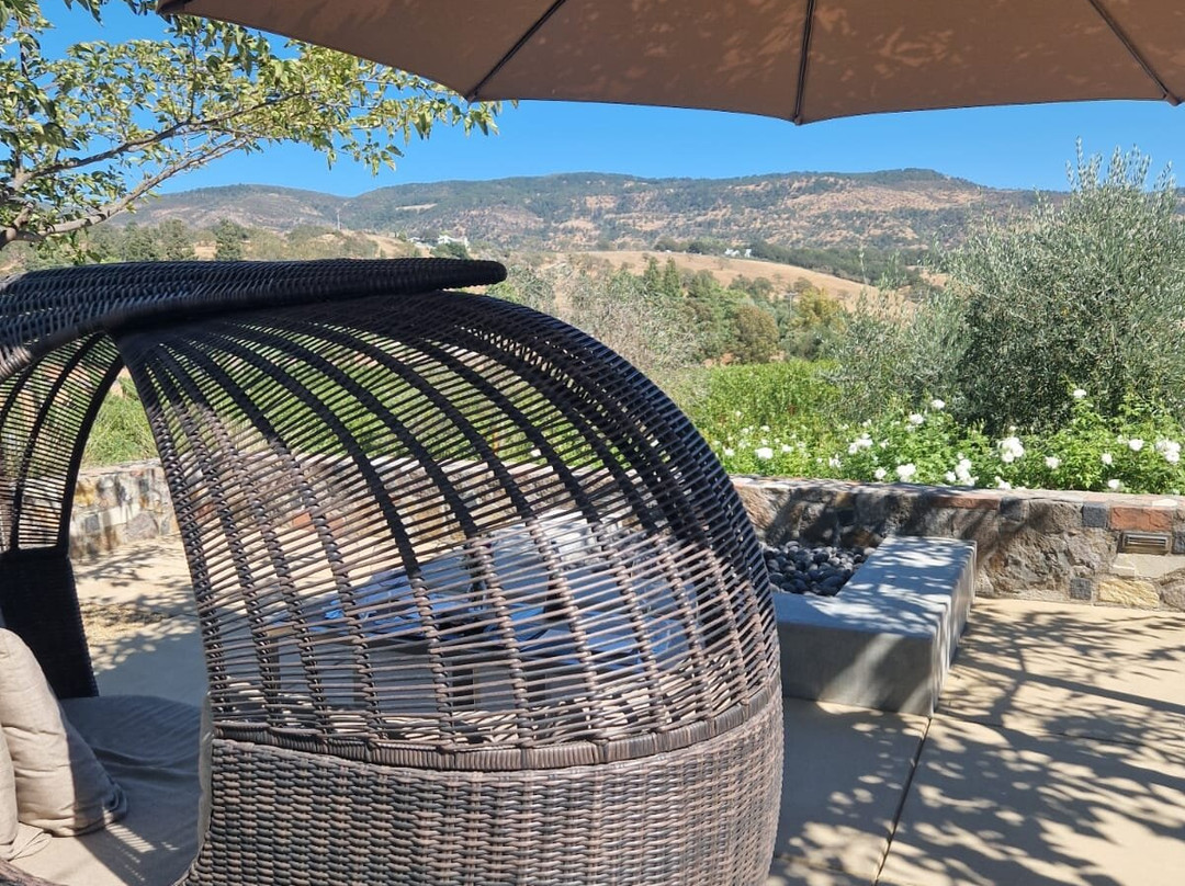 Shadybrook Estate Winery-纳帕必去景点