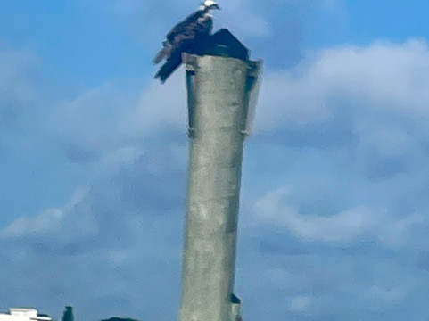 Kayaking Florida-奥兰多必去景点