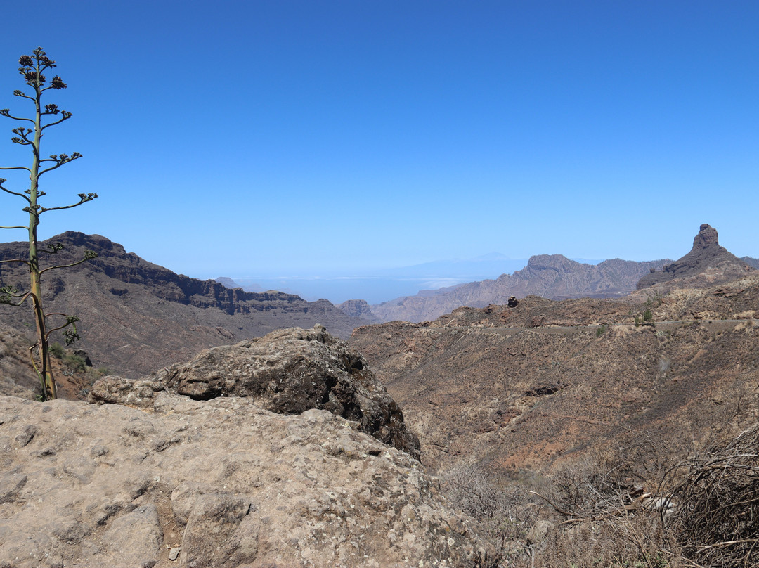 Mirador Cruz De Timagada景点图片