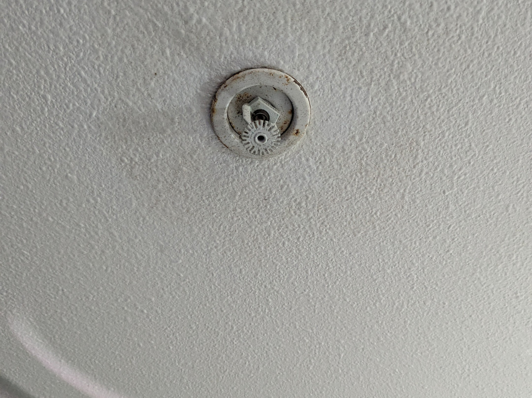 Candlewood Suites Lafayette - River Ranch by IHG主图