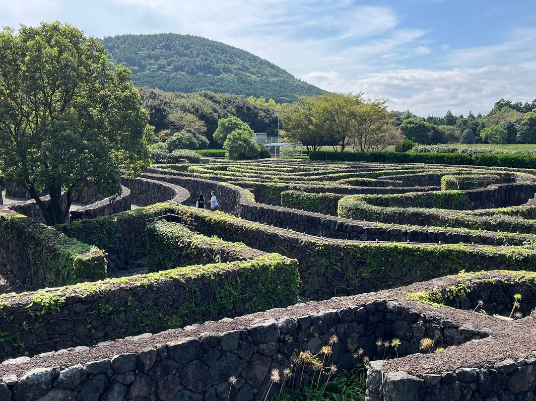 迷宫主题公园-济州必去景点