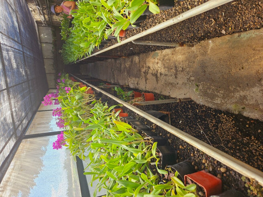 Martin Freitas Taxi Driver-沙尔必去景点