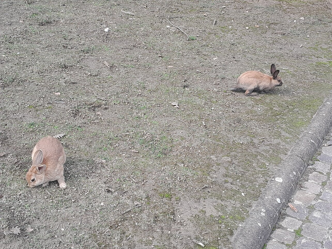 Parco Urbano Franco Agosto景点图片