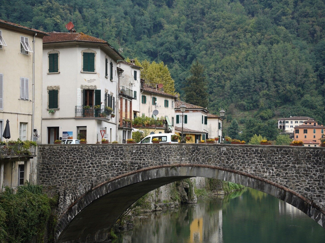Villa Lucchesi主图