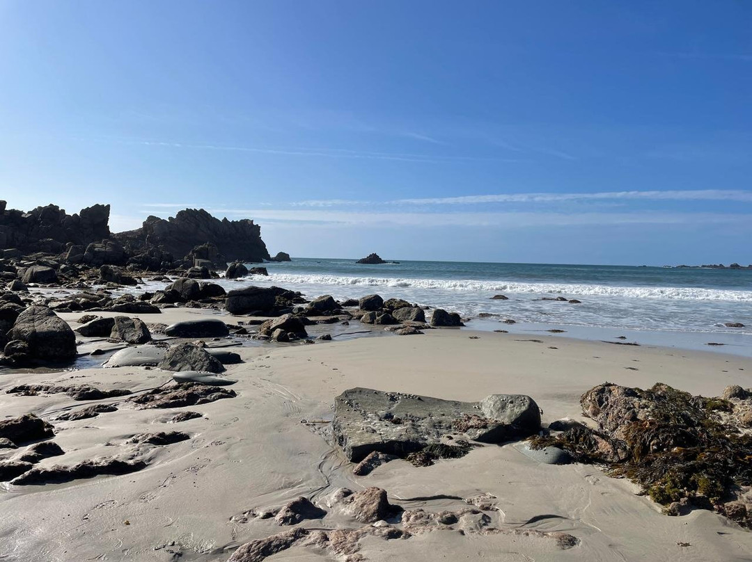 Guernsey Seaweed Foraging Tours-Castel必去景点