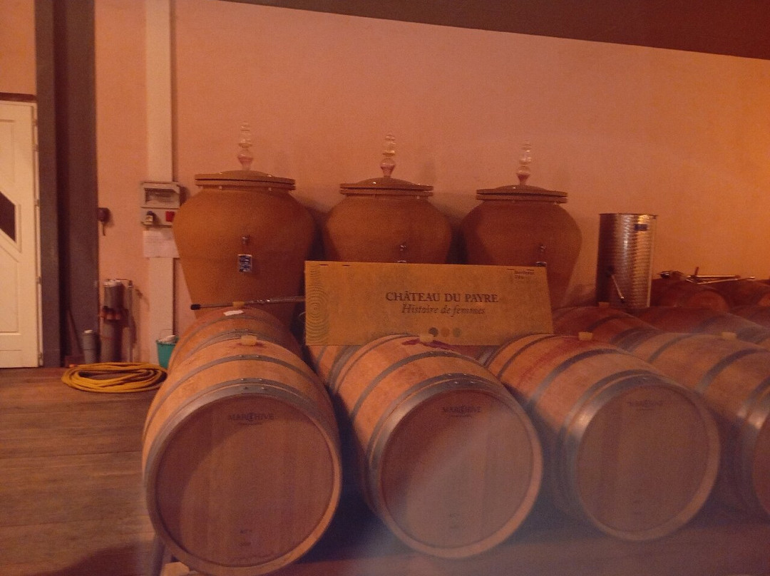 Chateau du Payre主图