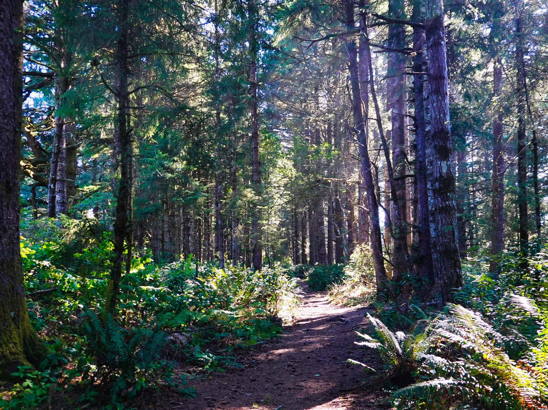 Floras Lake House Bed & Breakfast主图