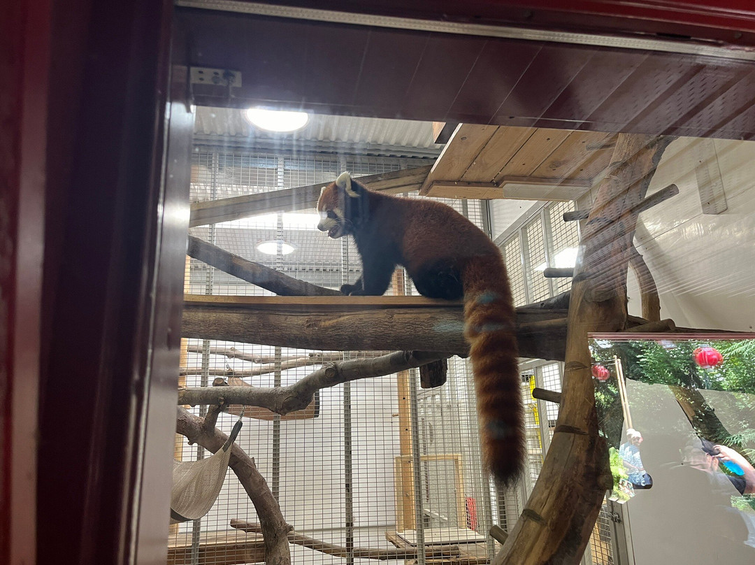 Zoo de Granby-Granby必去景点