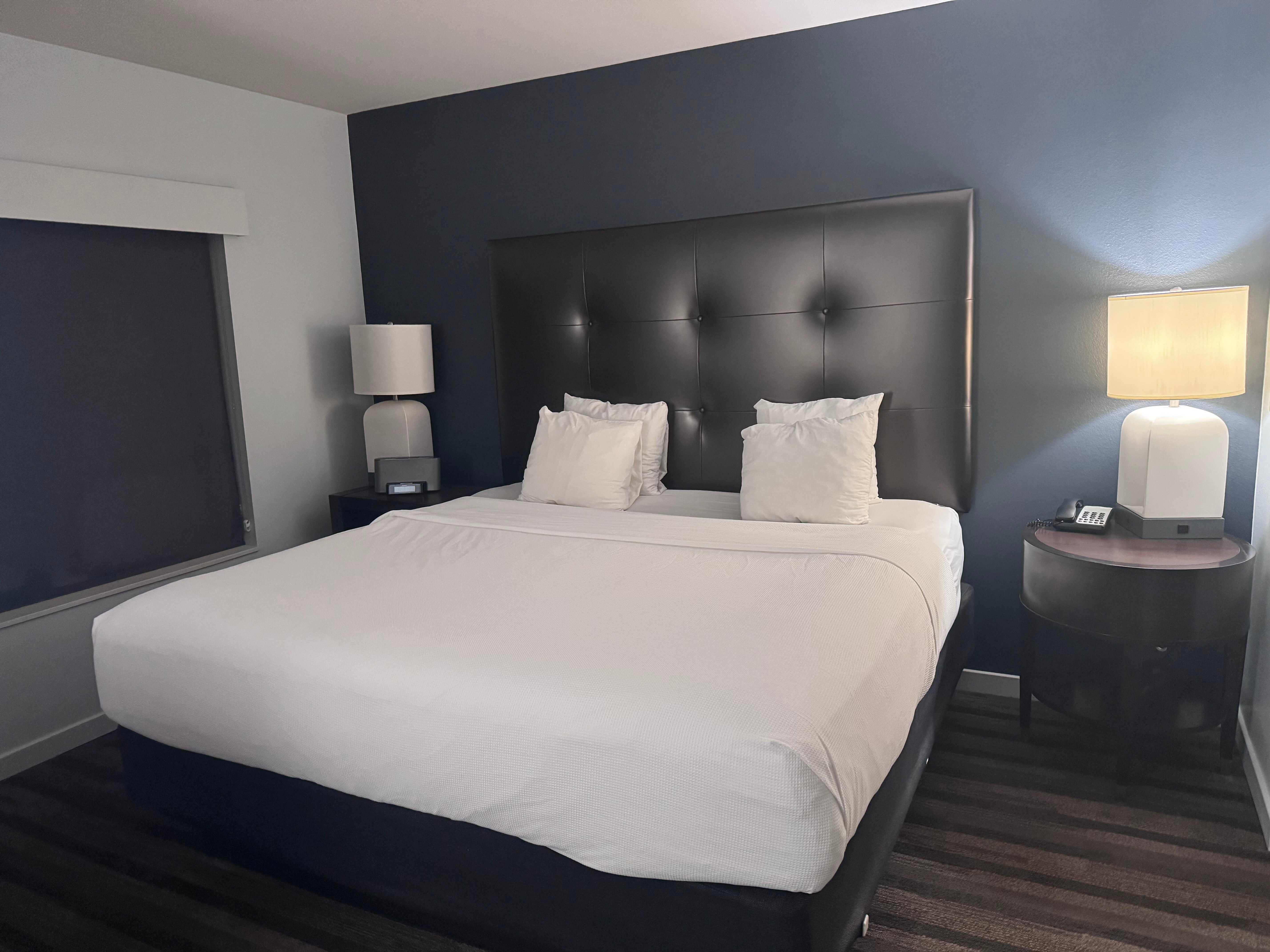 丽达勒姆机场凯悦豪斯酒店-客卧