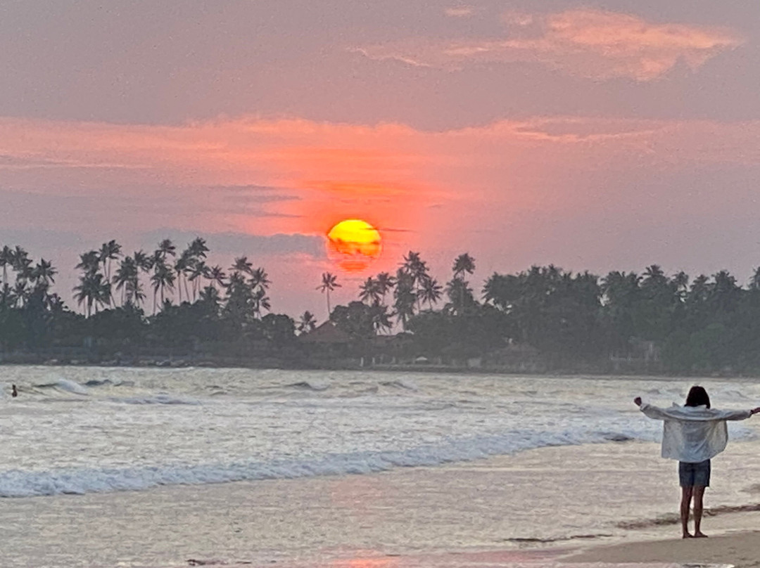 U traveller srilanka-马塔拉必去景点