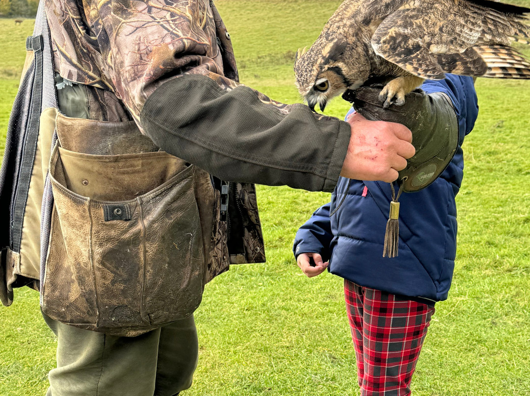 North East Falconry Centre-Huntly必去景点
