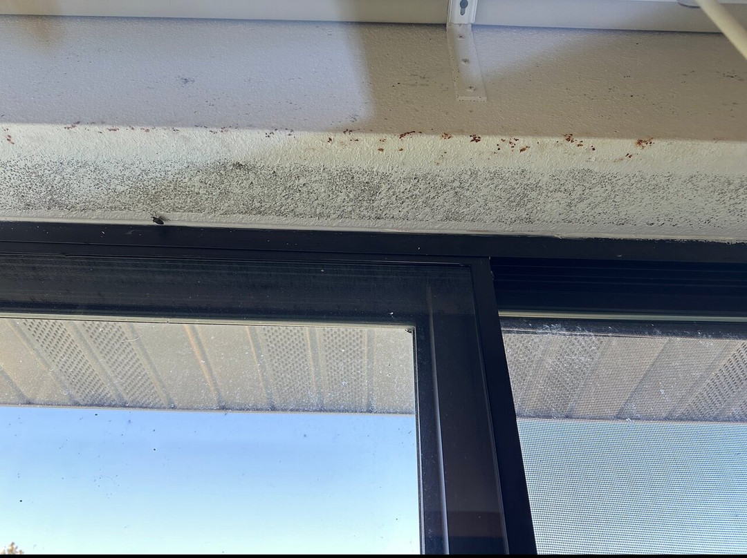 Quality Inn & Suites主图