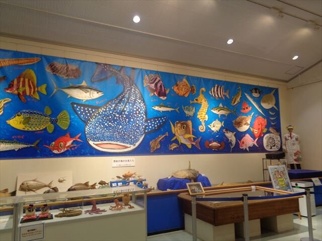 Nagisa no Hakubutukan-馆山市必去景点