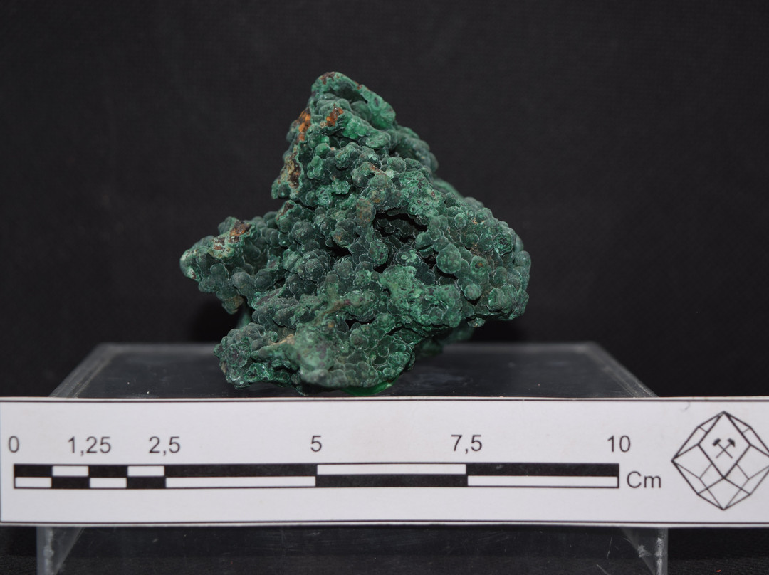 Museo Mineralógico Uda-Copiapo必去景点