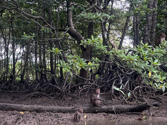 Eccotrip-普吉镇必去景点