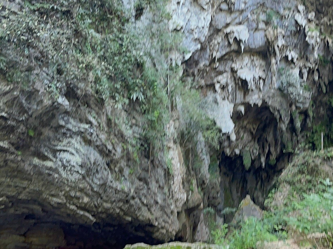 古龙山峡谷群景点图片