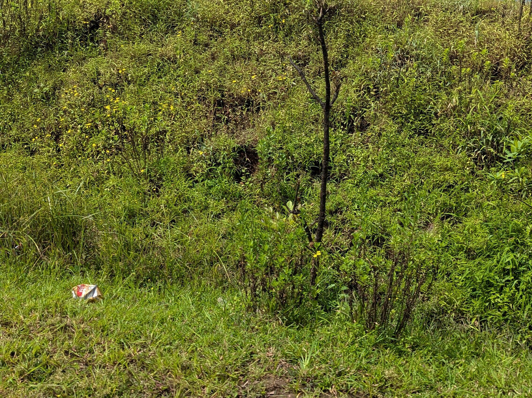 Manshas High-5 Resort主图