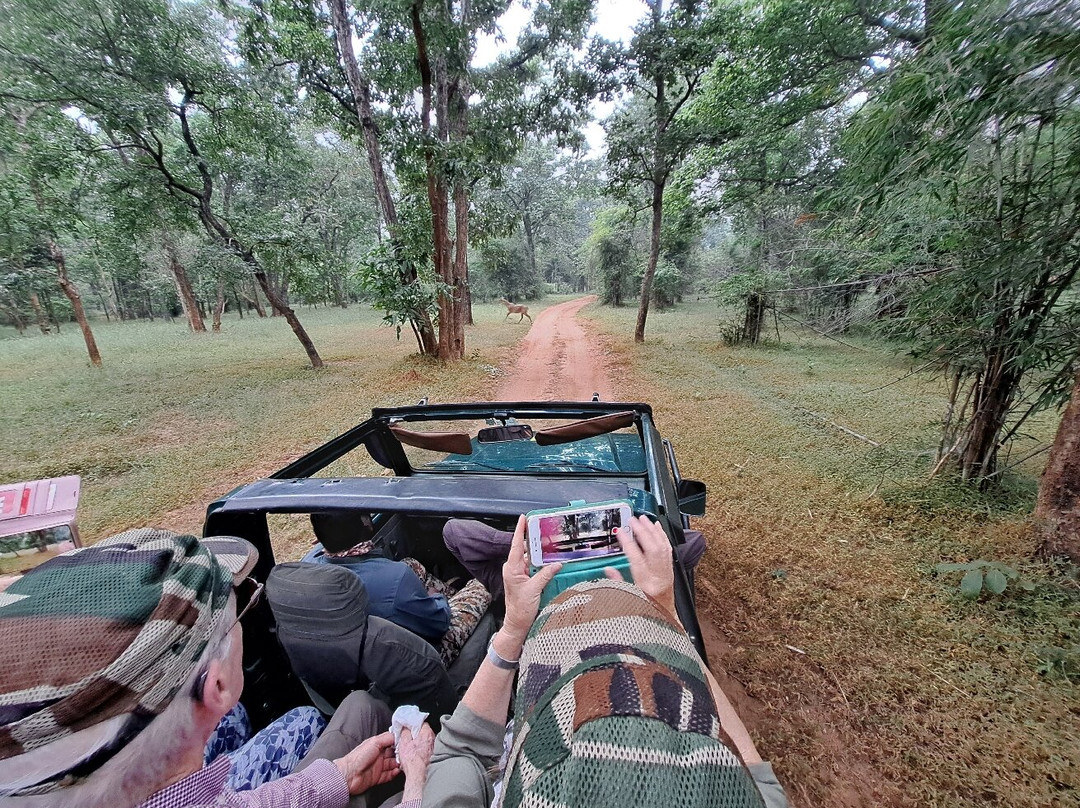 Emerald Tiger Retreat主图