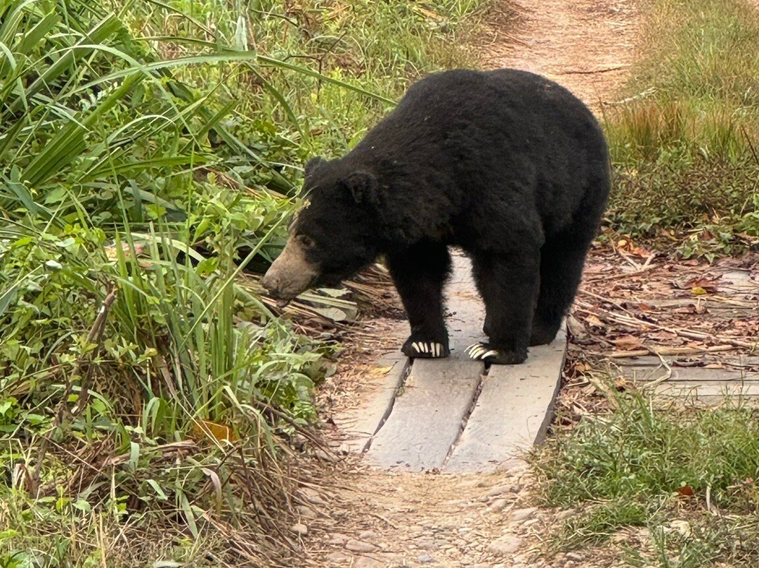 Hotel Rhino Land主图