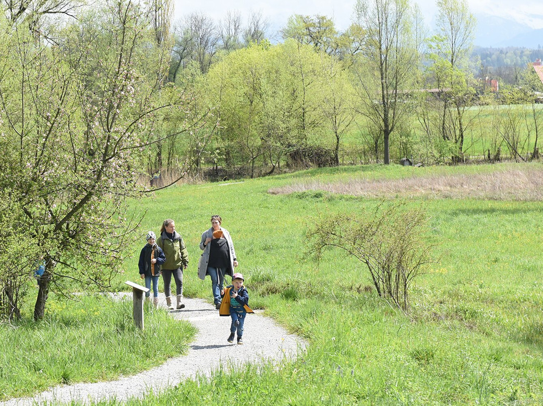 Naturstation Silberweide am Greifensee景点图片