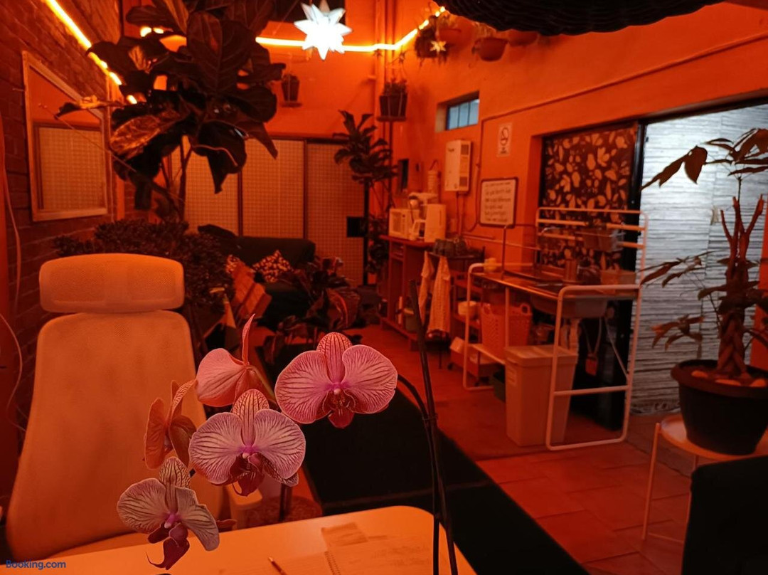 Ayenda Oasis Airport主图